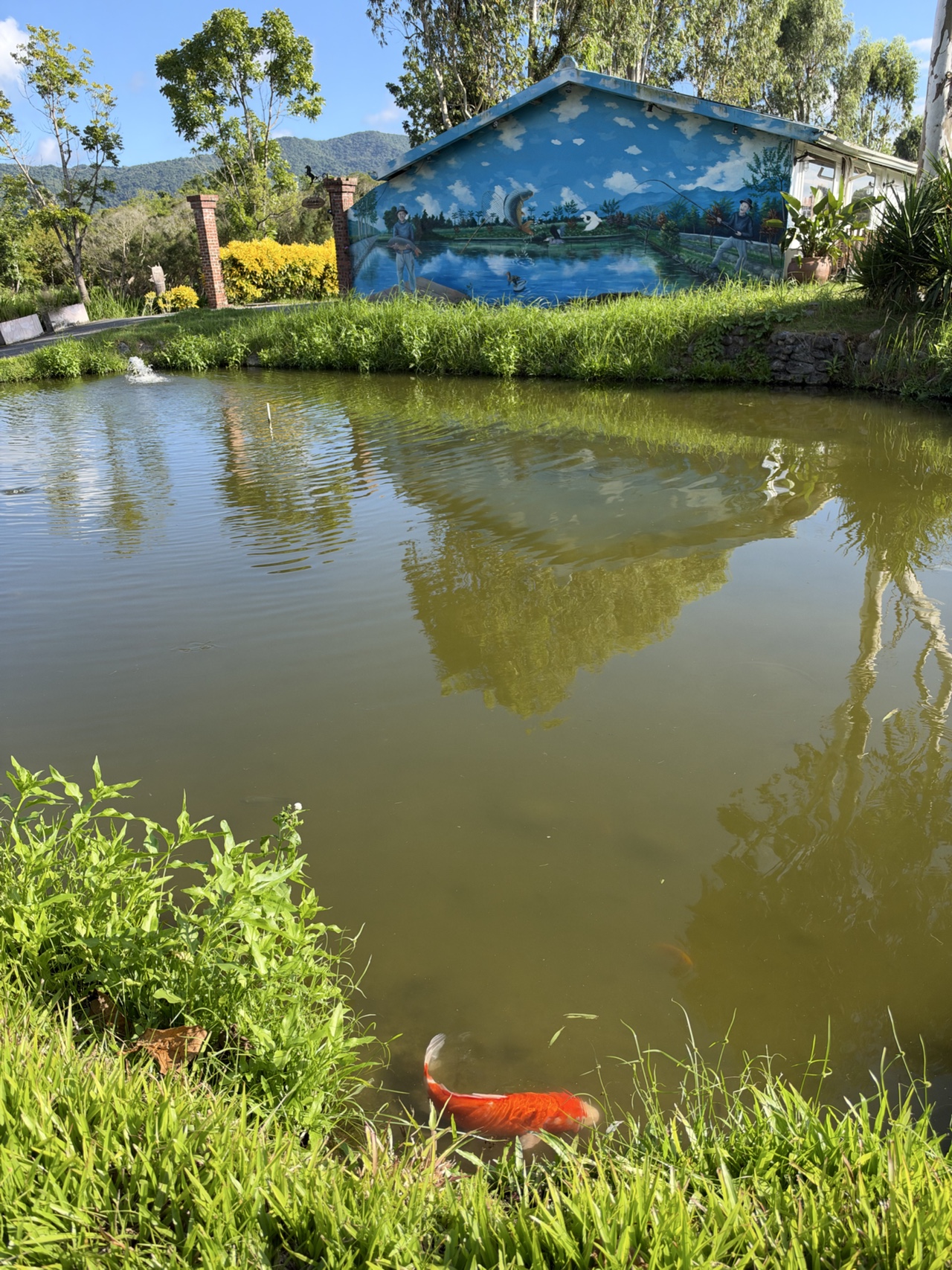 Promisedland Resort Hualien fish pond
